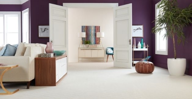 contemporary living room and entryway with dark purple walls and light beige carpet